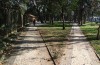 Some e Any: Qual A Diferença?
