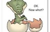 What now: Now what significa o quê?