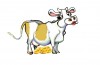 cash cow em inglês