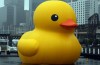 Pagar o Pato em Inglês: como dizer pagar a conta em Inglês