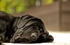 Expressões e Collocations Com Sleep