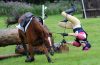 cair do cavalo em inglês