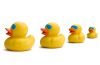 tradução get my ducks in a row